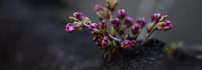 simon-launay-GvUnmH_UNU0-unsplash